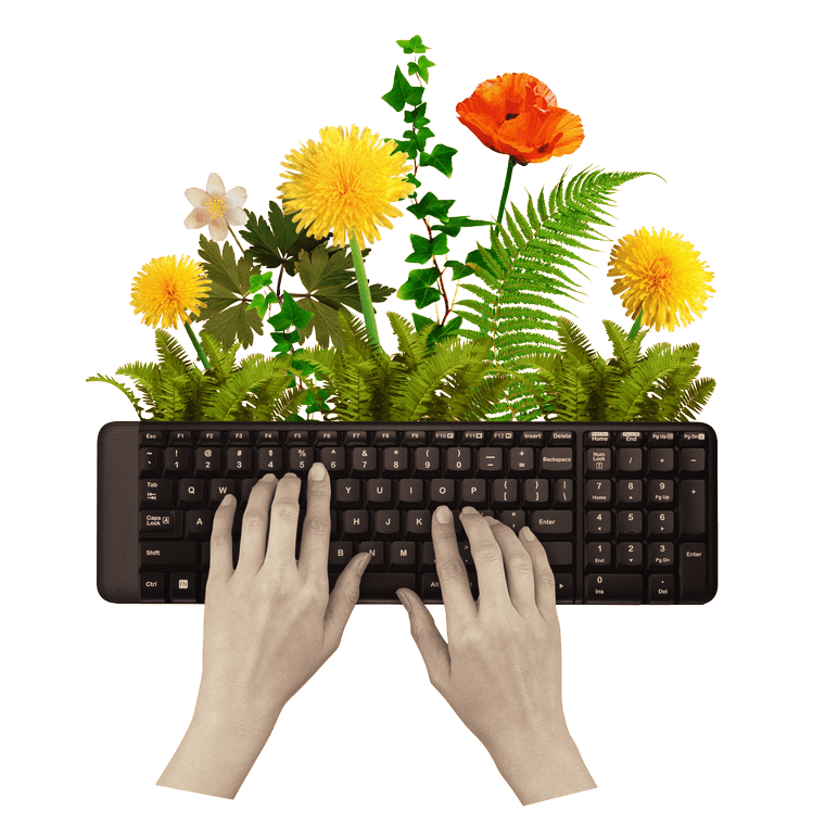 Hands typing on a keyboard surrounded by vibrant flowers and greenery